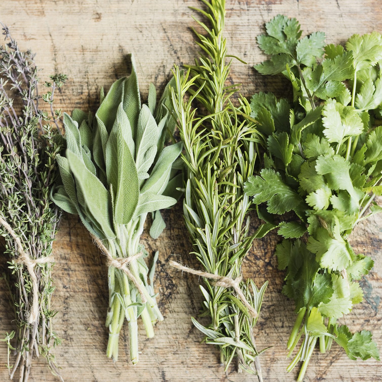 Variety of fresh green herbs on wooden table at home