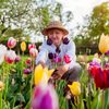 A person tends colorful tulips in a garden, surrounded by blooming flowers and lush green trees under a bright sky.
