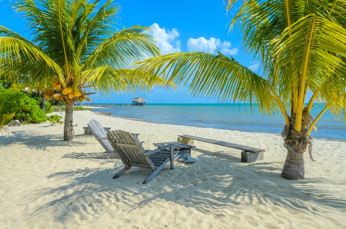 Palm trees provide shade for wooden chairs on a sandy beach, facing a calm sea with a distant pier under a bright, clear sky.