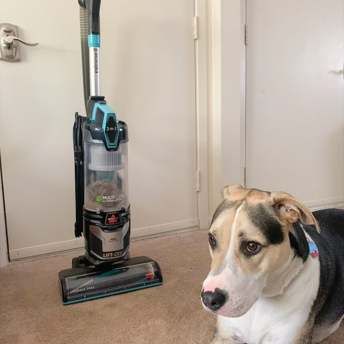 Vacuum cleaner stands on beige carpet indoors, near a resting dog. Text on vacuum includes 