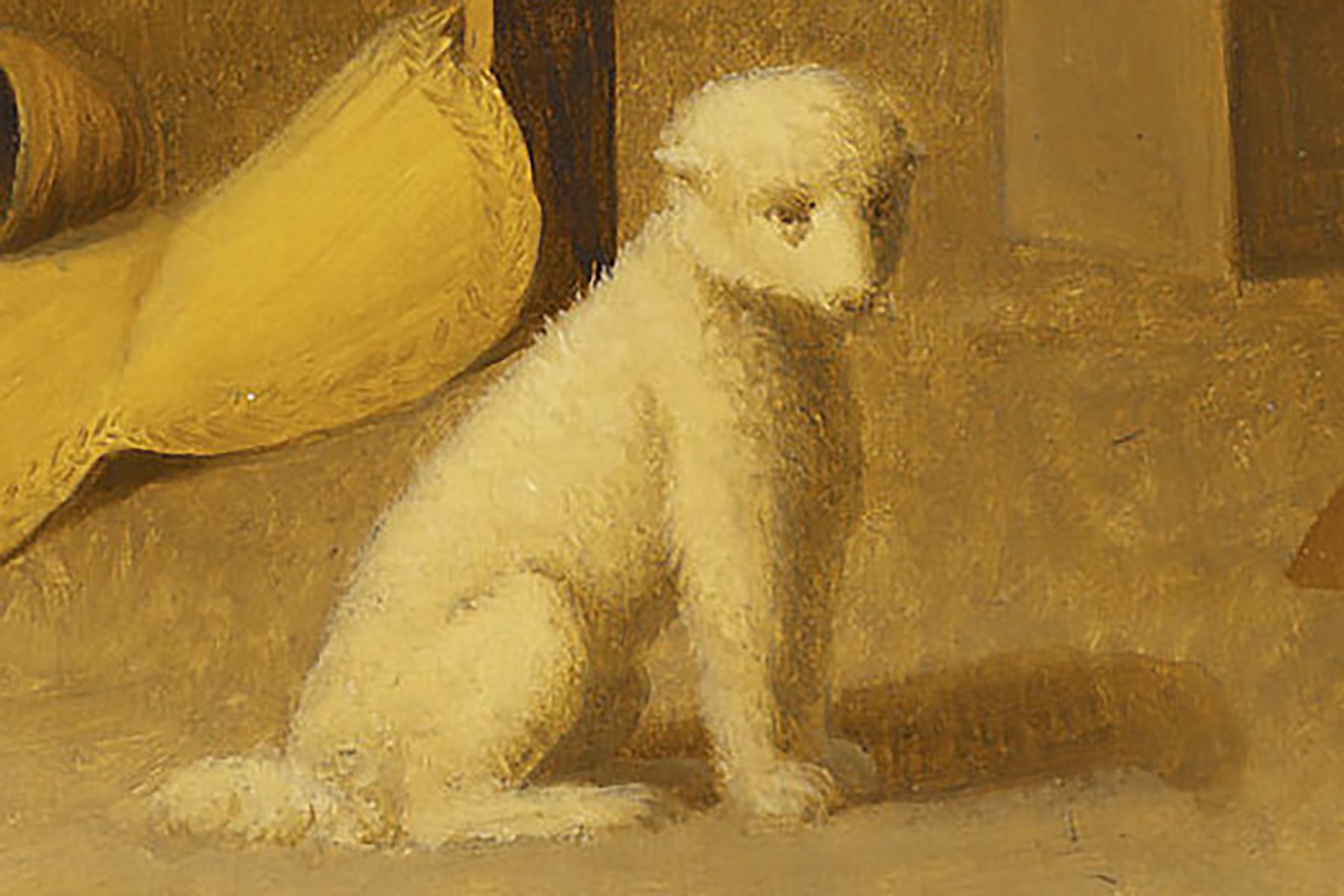 A small, white dog sits, looking forward, in a textured, golden-brown environment.