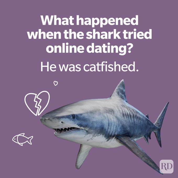 80 Animal Jokes That Are The Wildest In The Kingdom