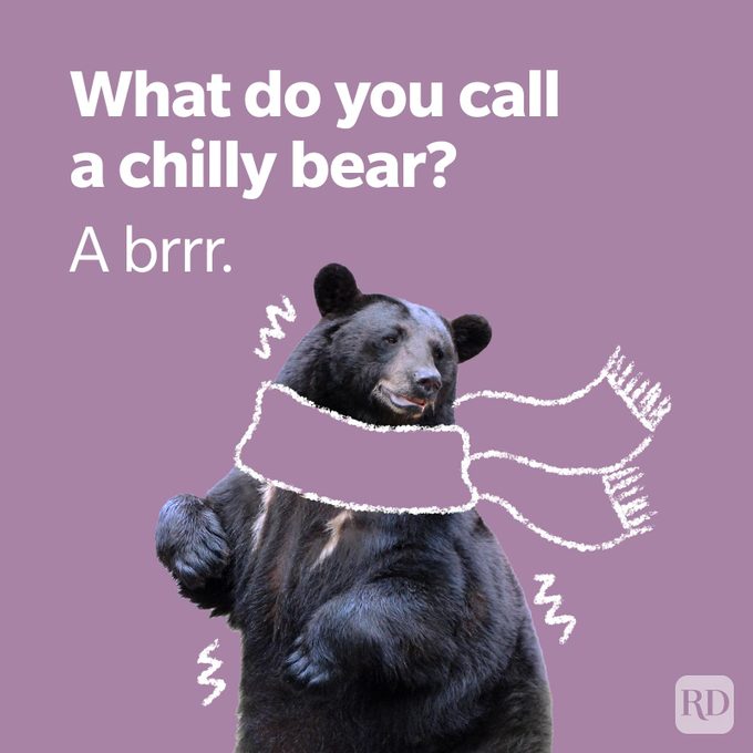 Bear Pun