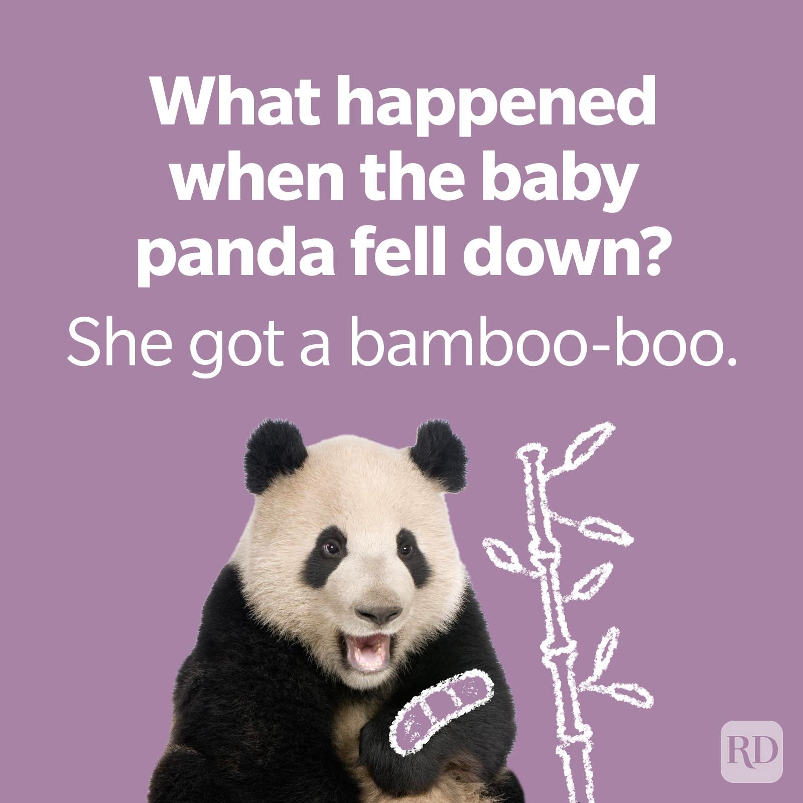 Bear Pun