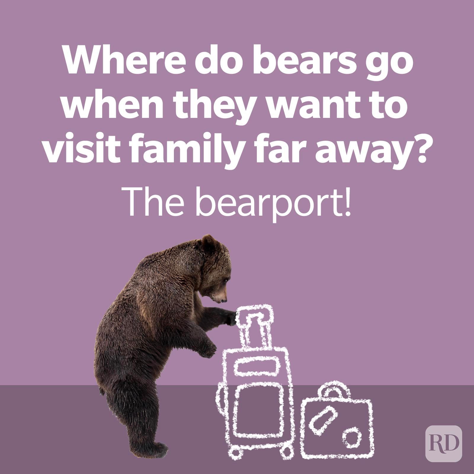 Bear Pun