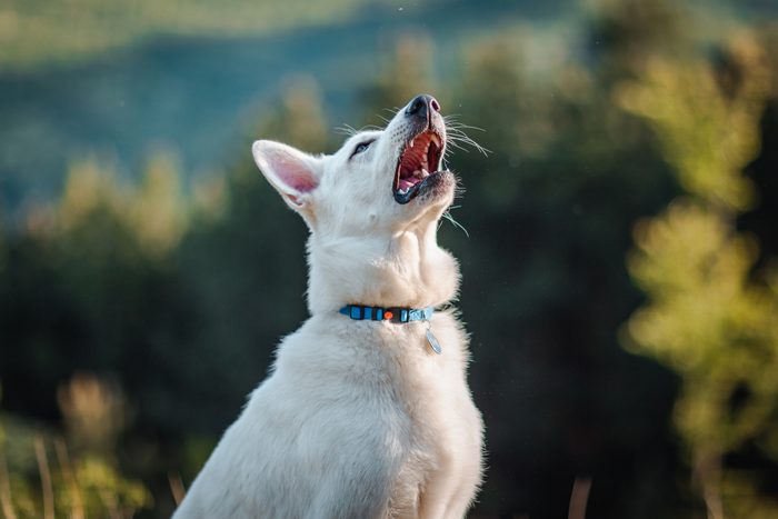 When sneeze is hard