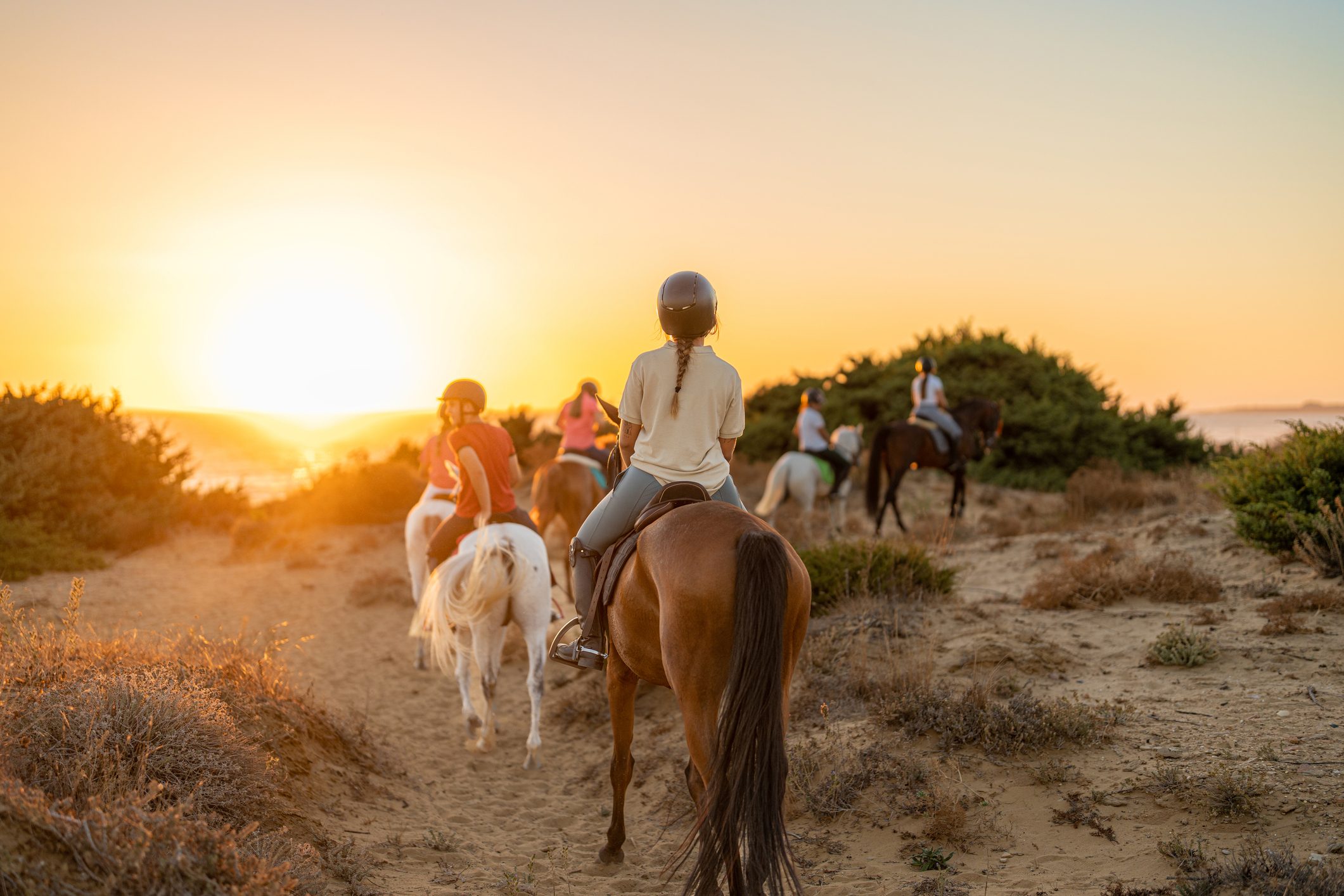 People riding horses on a sandy path, surrounded by bushes, during a sunset.