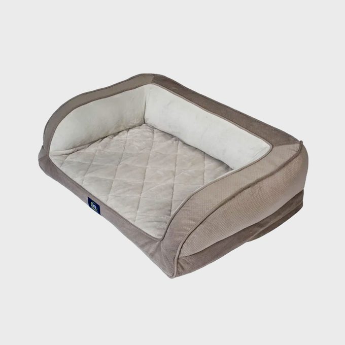 Rectangular dog bed with raised sides, featuring a quilted cushion, set against a plain white background.
