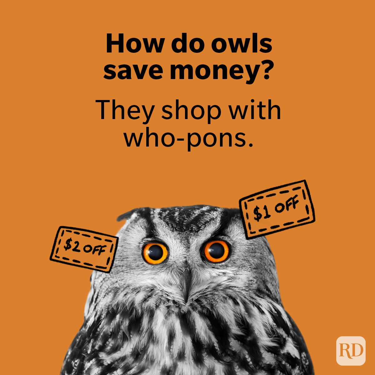 An owl displays coupon labels amid an orange background. Text: "How do owls save money? They shop with who-pons."