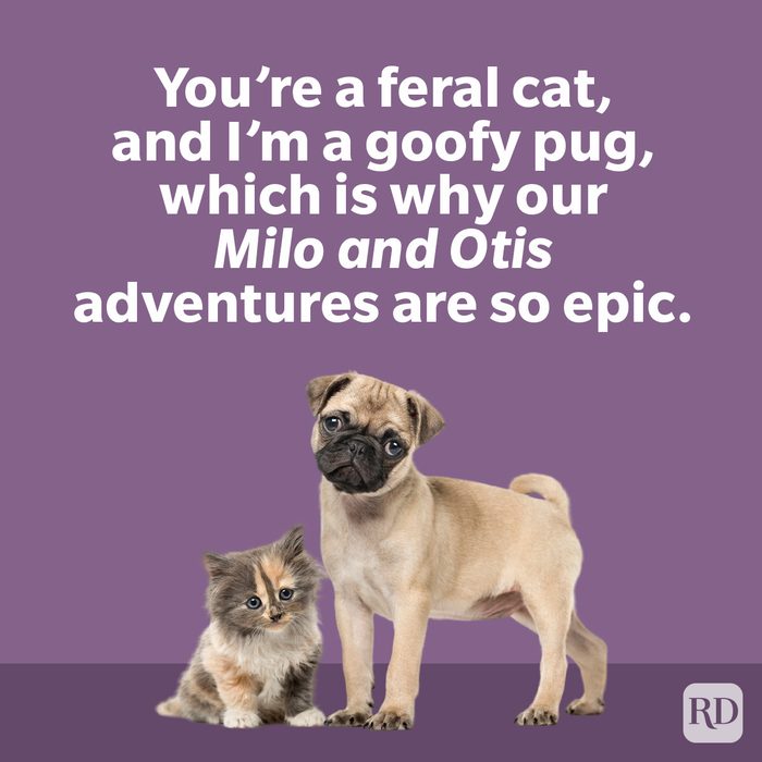 Pop Culture Compliments