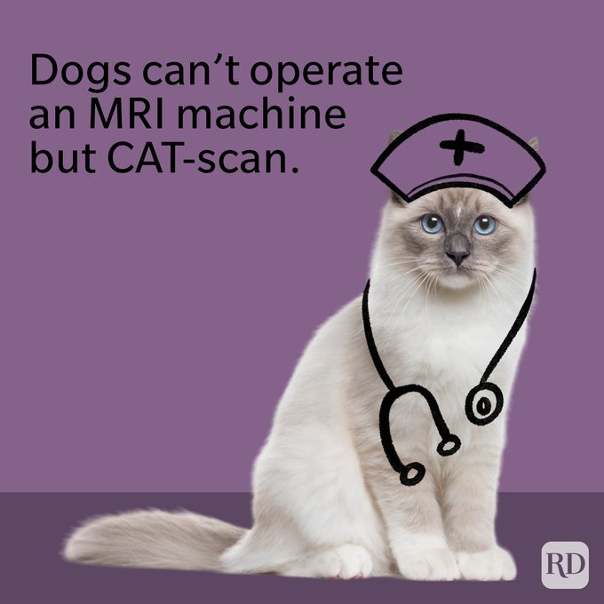 Medical Jokes