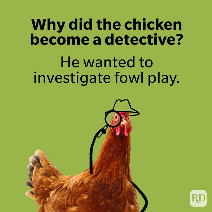 Funny Chicken Puns
