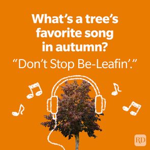Tree wearing headphones, with musical notes around it, against an orange background. Text: â€œWhatâ€™s a treeâ€™s favorite song in autumn? â€˜Donâ€™t Stop Be-Leafinâ€™.â€