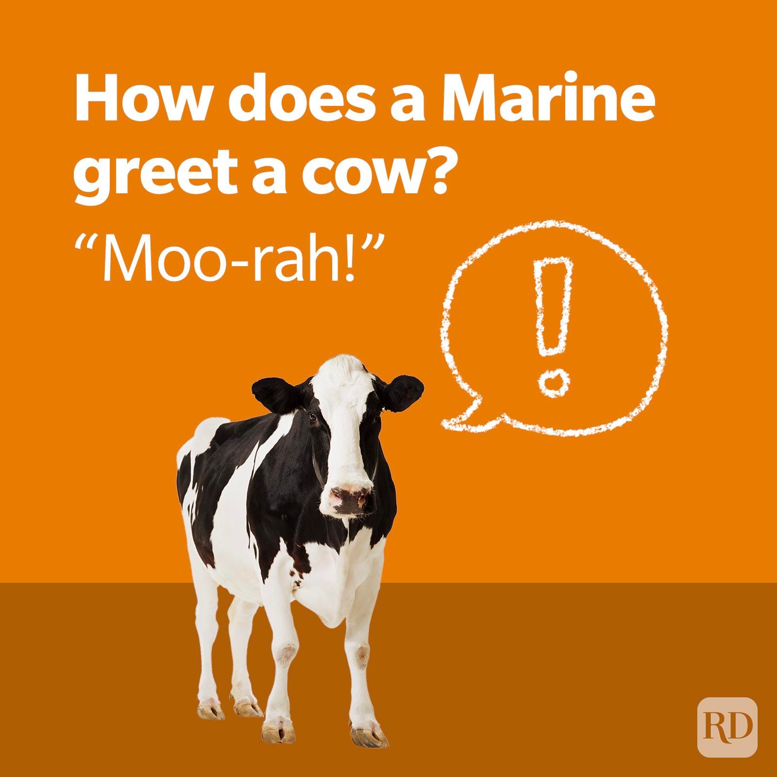 Military Jokes 4 Gettyimages Aa049691