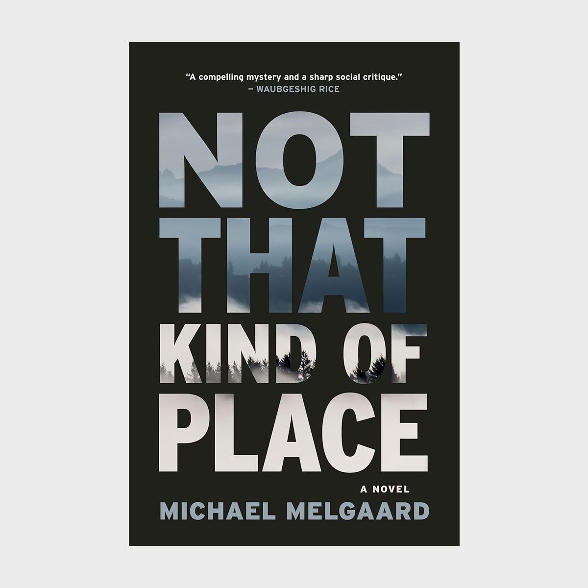 Cover displays bold text "NOT THAT KIND OF PLACE" with a misty forest background, featuring a quote and author "Michael Melgaard" below.
