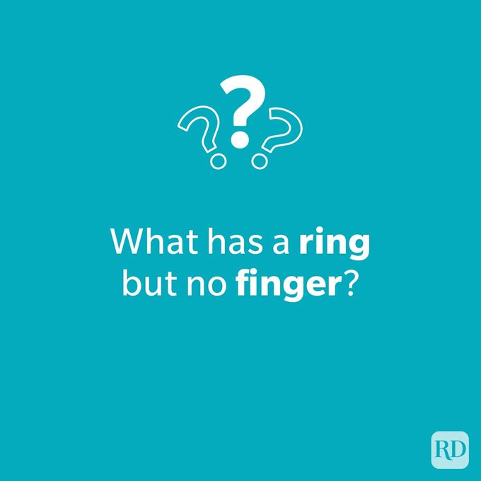 Trick Questions Guaranteed To Leave You Stumped Brain Games