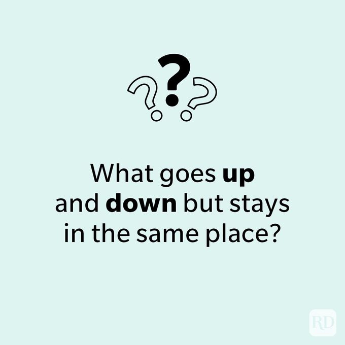 Trick Questions Guaranteed To Leave You Stumped Brain Games