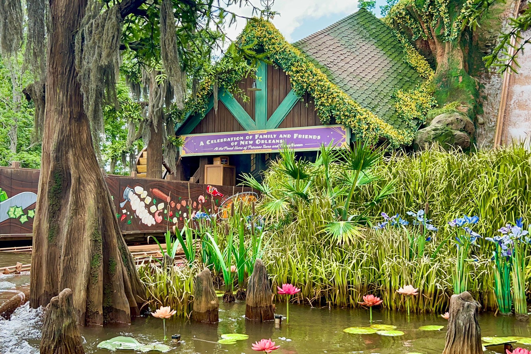 Tianas Bayou Adventure
