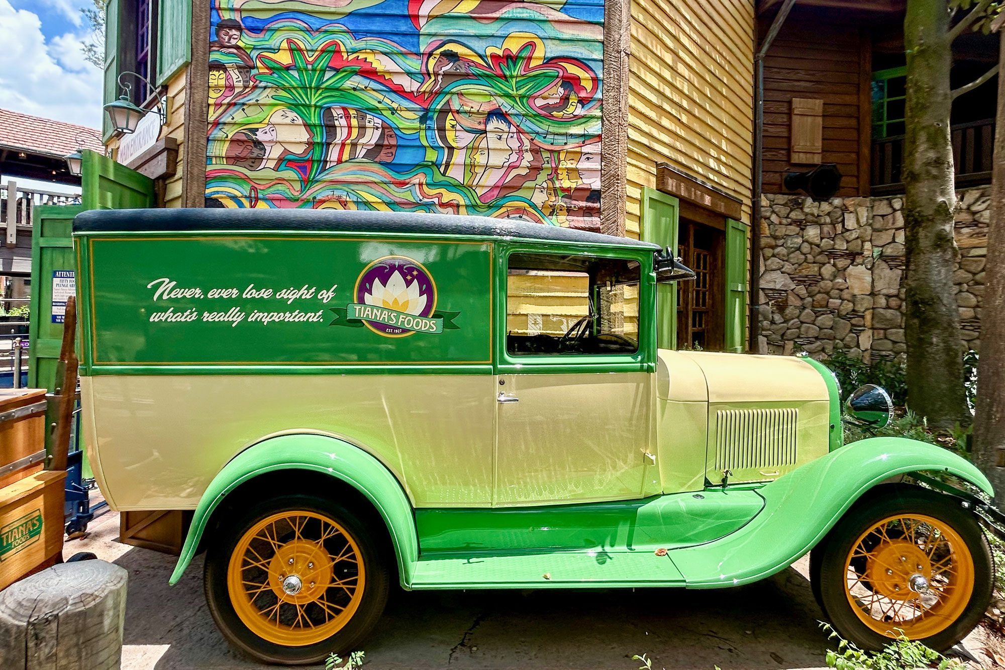 Tianas Bayou Adventure