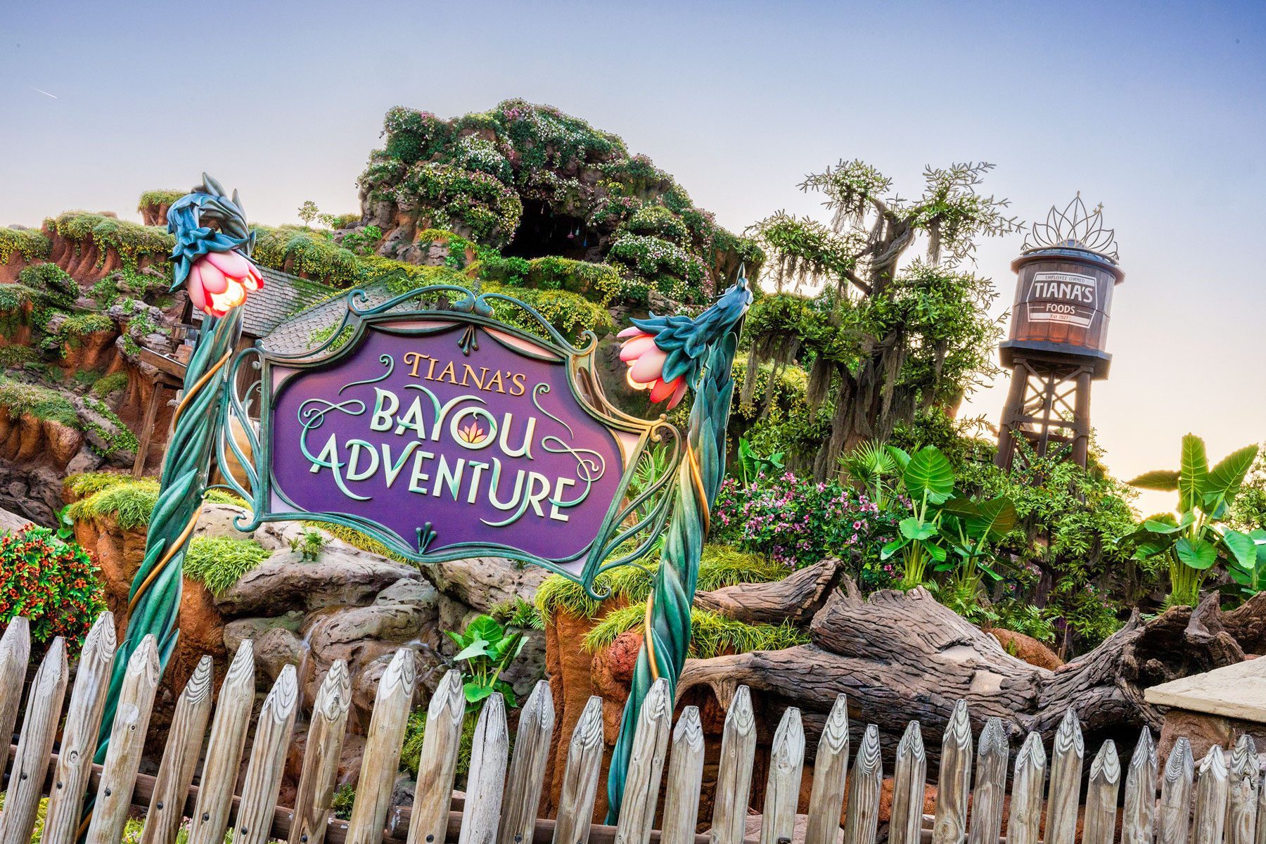 Tianas Bayou Adventure