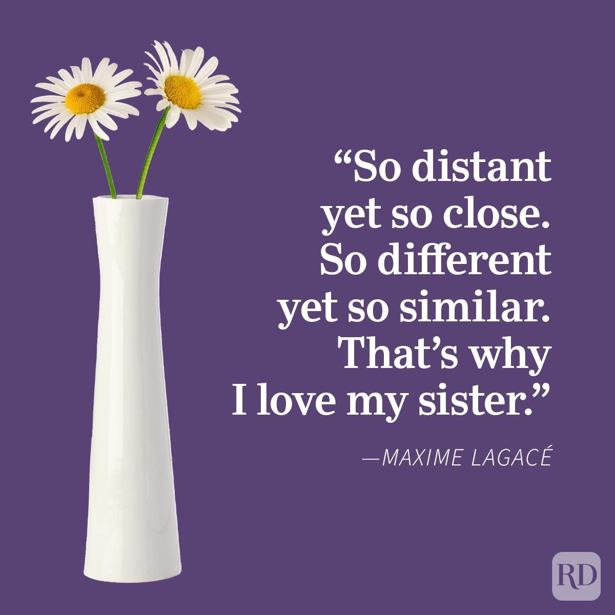 Sister Quotes That Perfectly Sum Up Your Relationship Maxime Lagacé, white daisies in a vase, purple