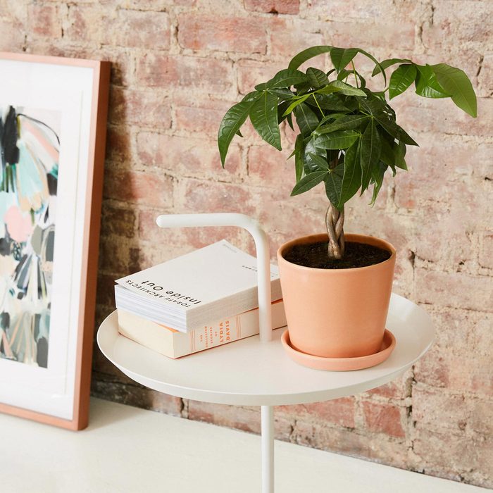 A potted plant sits on a round white table beside stacked books, against an exposed brick wall backdrop with a framed abstract artwork nearby.