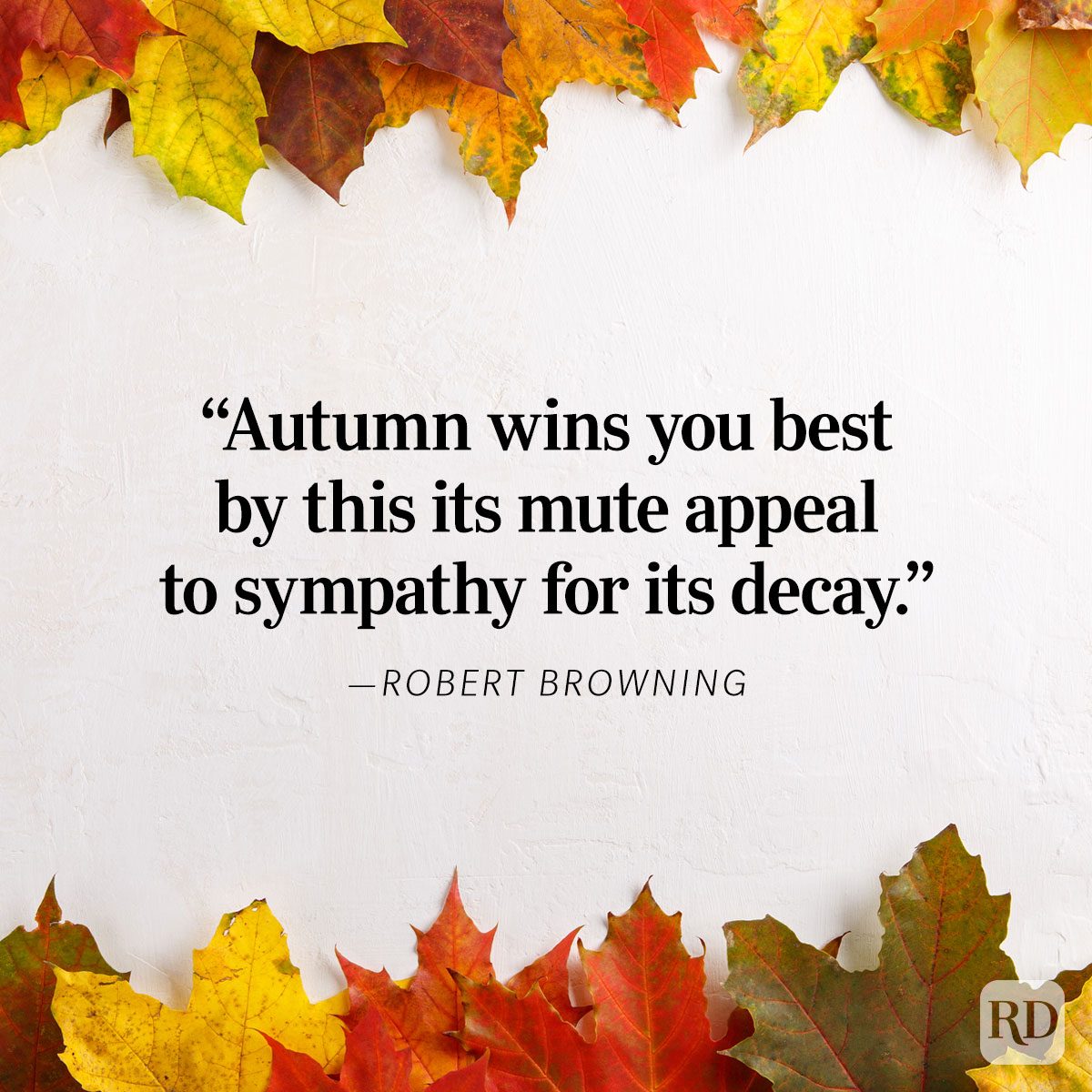 Colorful Fall Quotes
