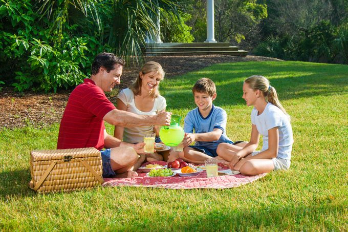 Caucasian Family Of Four Having Picnic In Park