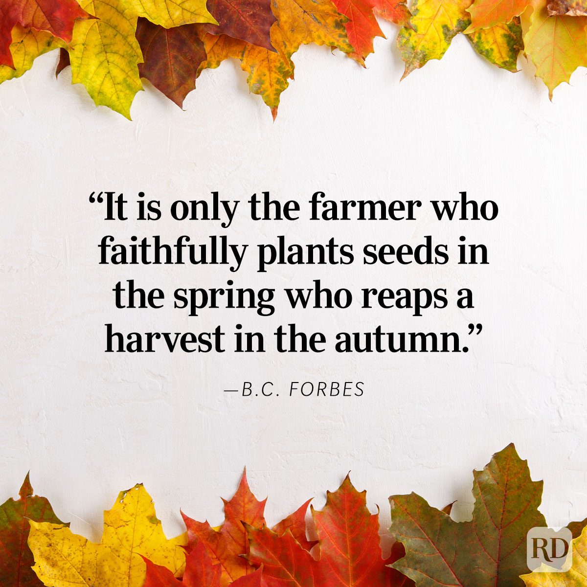 Inspiring Fall Quotes