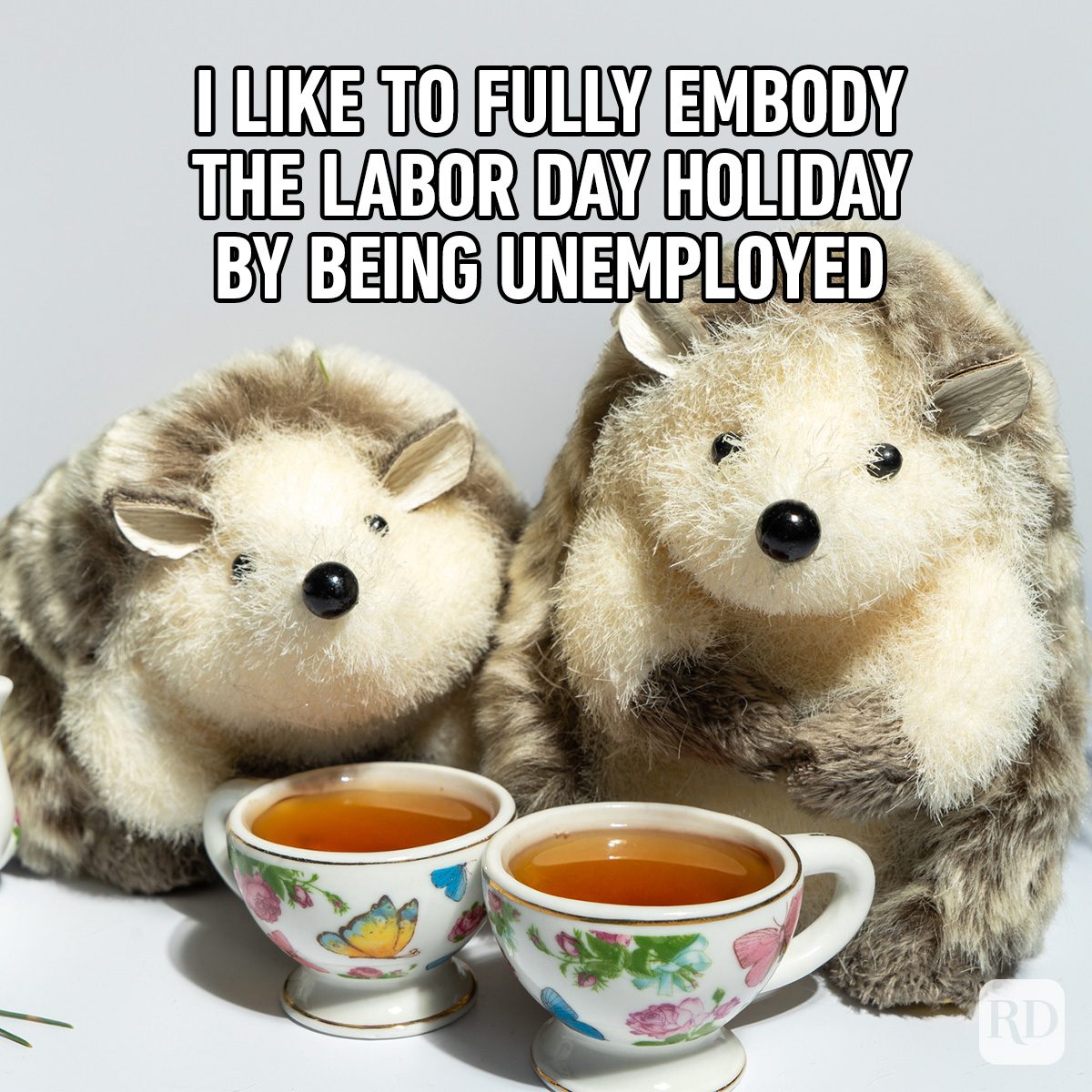 Stuffed hedgehogs sit beside teacups, set on a white surface. Text reads: "I LIKE TO FULLY EMBODY THE LABOR DAY HOLIDAY BY BEING UNEMPLOYED."