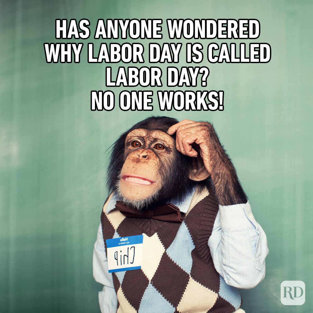 Chimpanzee scratches head, wearing a sweater vest and name tag, on a green background; humorous text questions Labor Day's name since no one works.