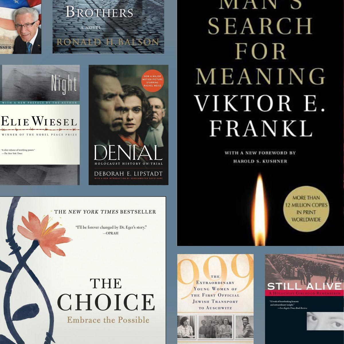 12 Best Holocaust Books, According to Holocaust Experts