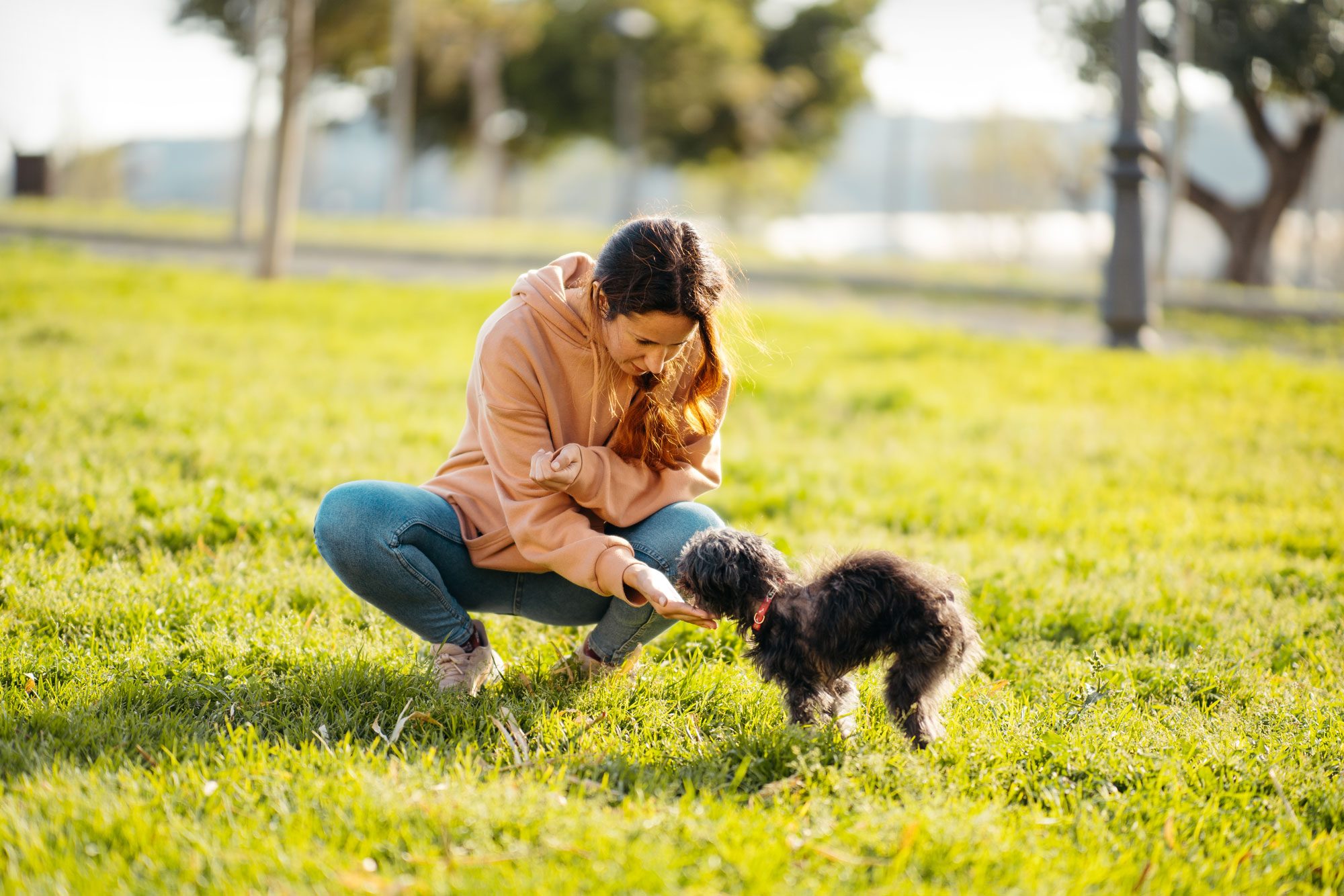 Woman crouching feeds small black dog in sunny park.