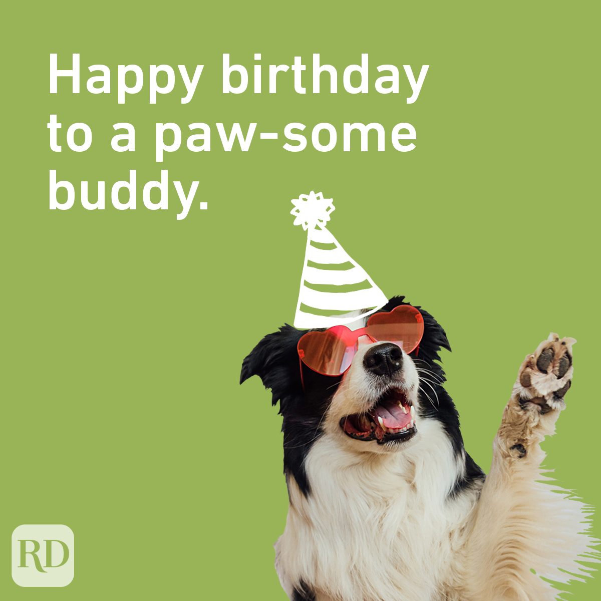 Birthday Puns For The Ages dog waving with party hat doodle on green background