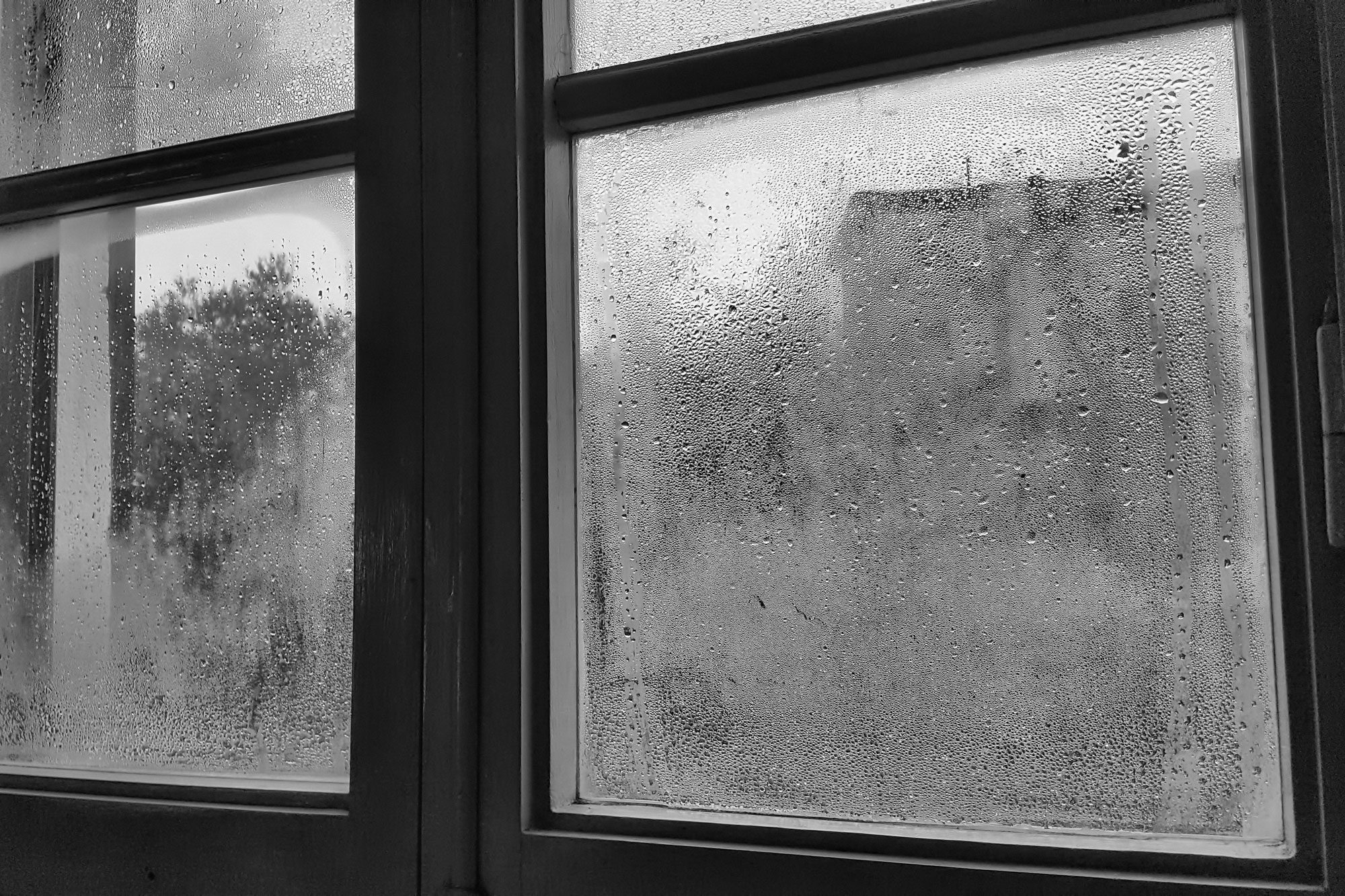 Condensation covers a windowpane, obscuring an outdoor view of a building and trees on a gray day.