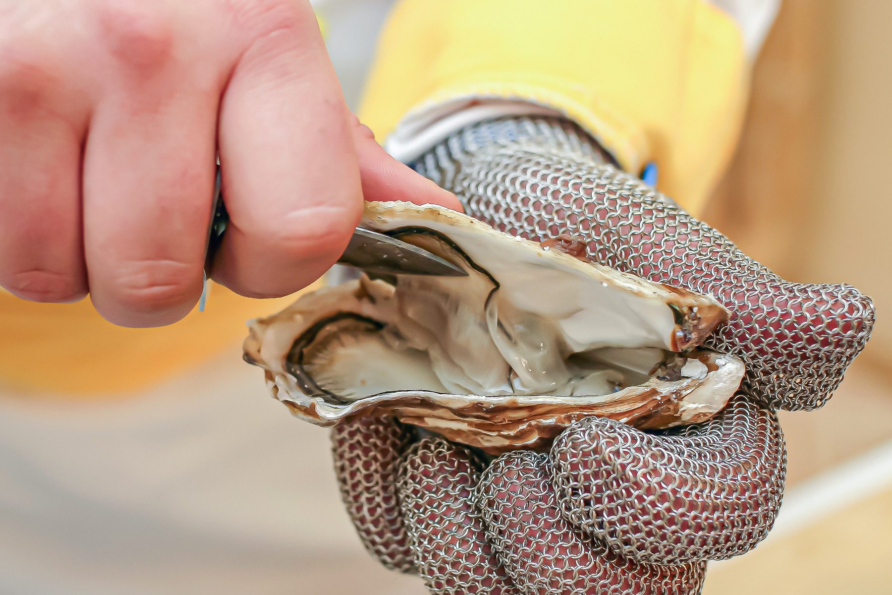How Do You Eat Oysters The Right Way