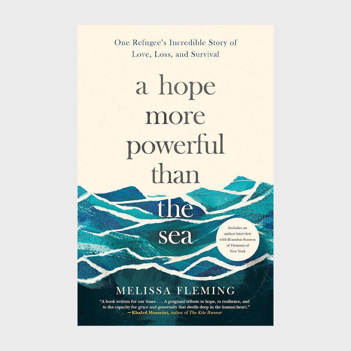 Book cover depicts stylized waves beneath the text "a hope more powerful than the sea." Cream background with ocean-themed illustration in shades of blue.