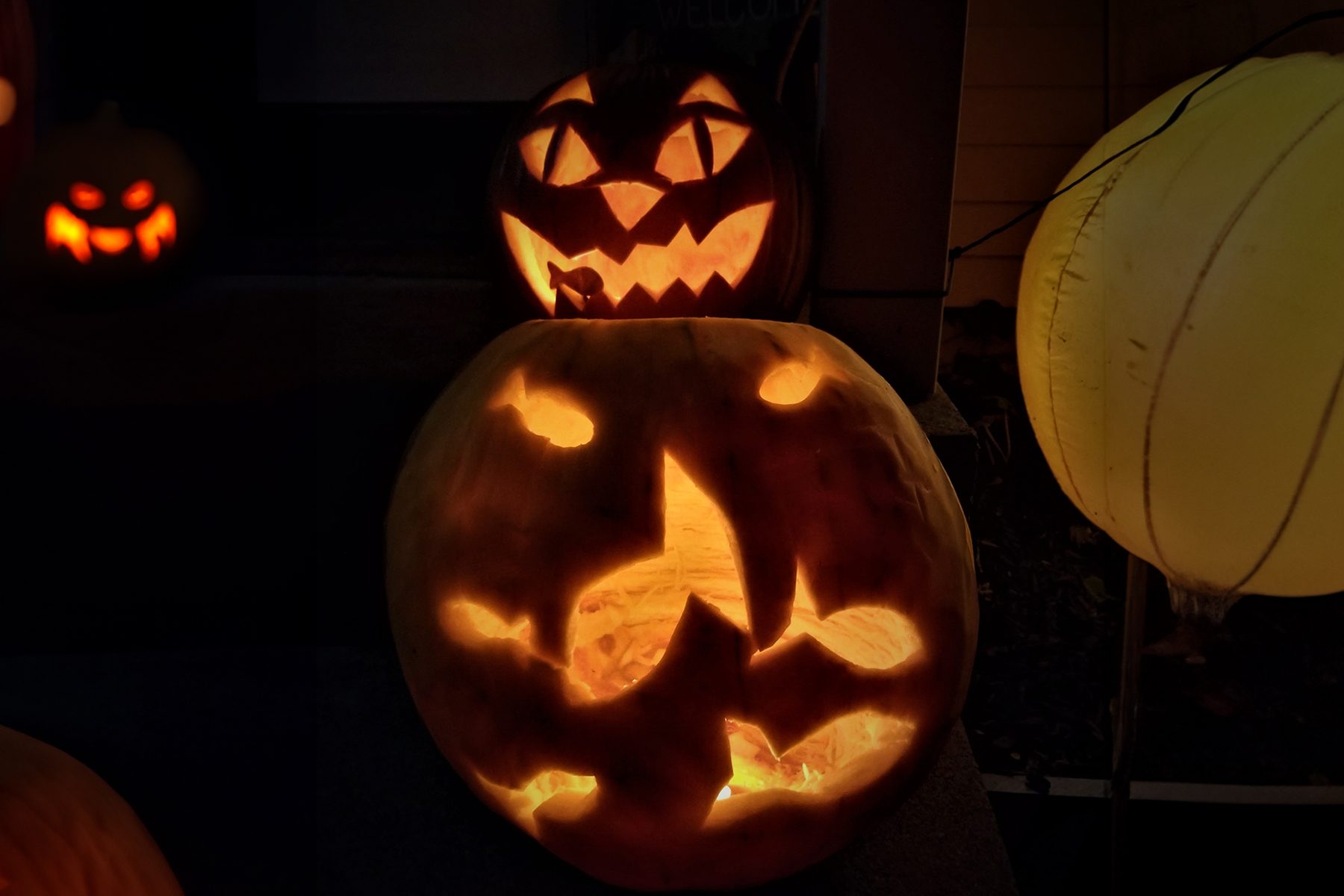 Cat In The Fishbowl Pumpkin Gettyimages 1403344666
