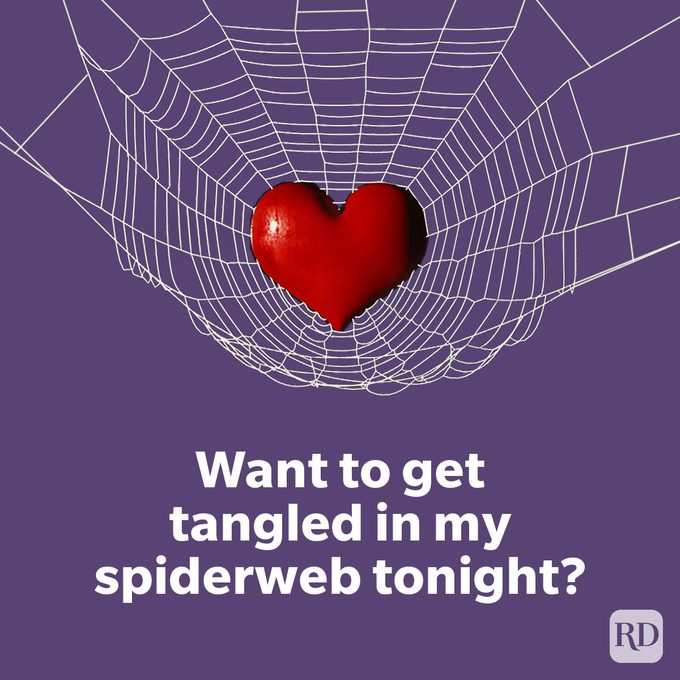 Halloween Pickup Lines For Your New Boo Want to get tangled in my spiderweb tonight on purple background