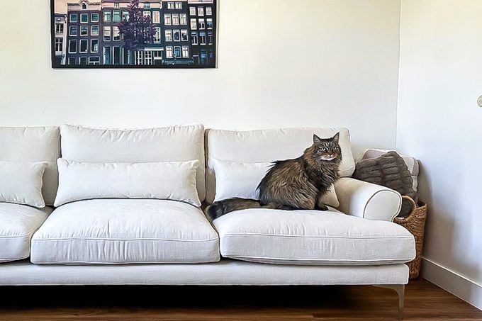 Interior Define Maxwell Sofa