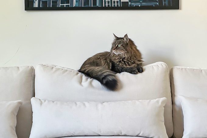 Interior Define Maxwell Sofa