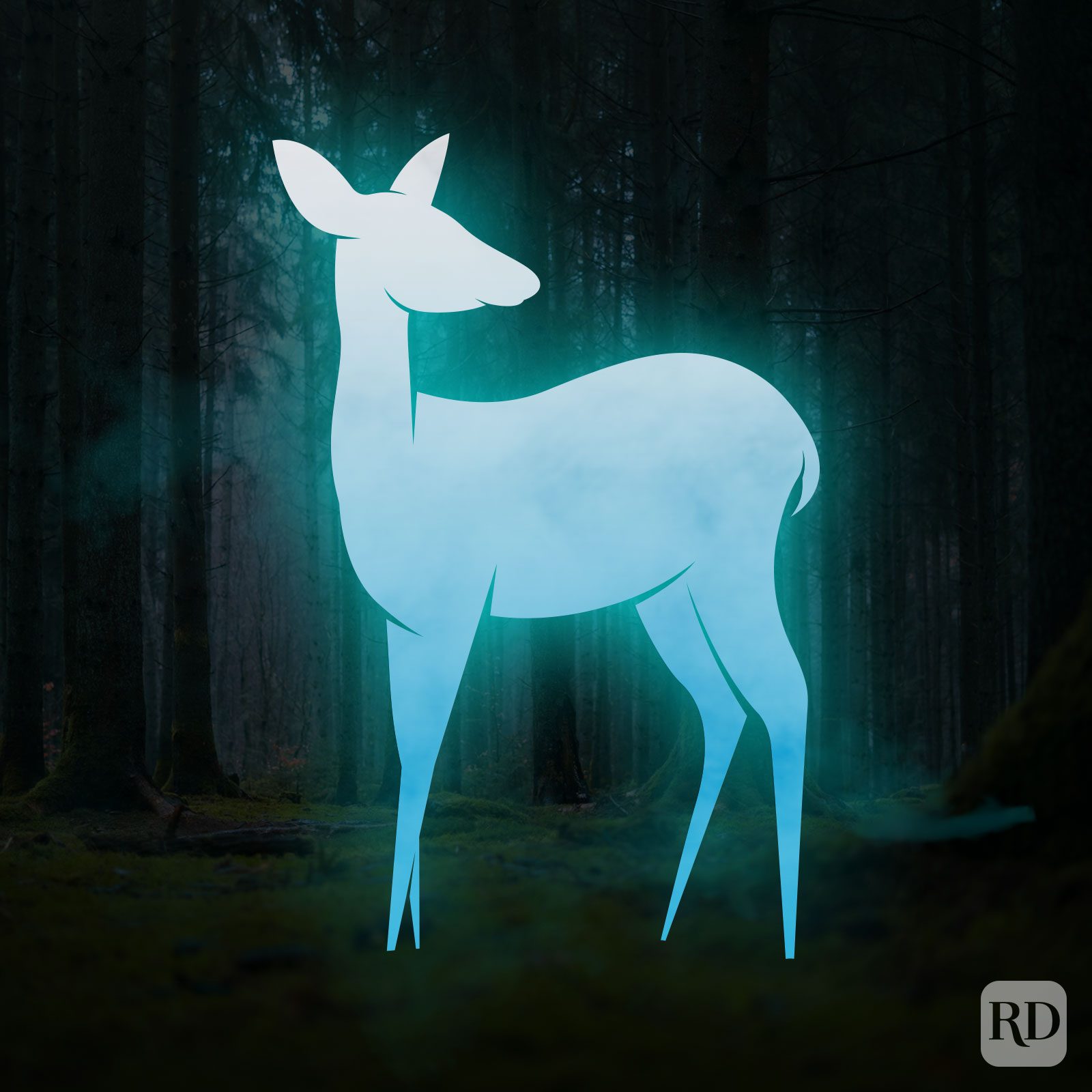 When Do We See Snapes Patronus