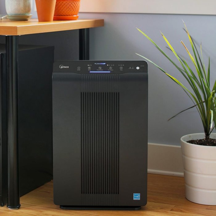 Air purifier sits idle beside a potted plant in a room with wooden floors. Indoor setting with light-colored walls and a small table.