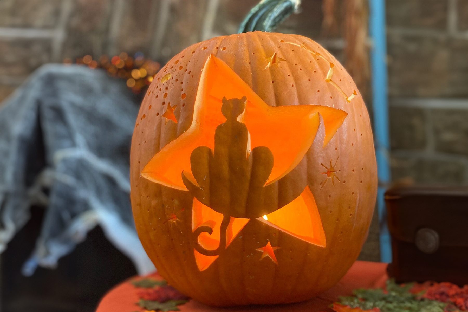 Cat Pumpkin Etsy E1630004252851