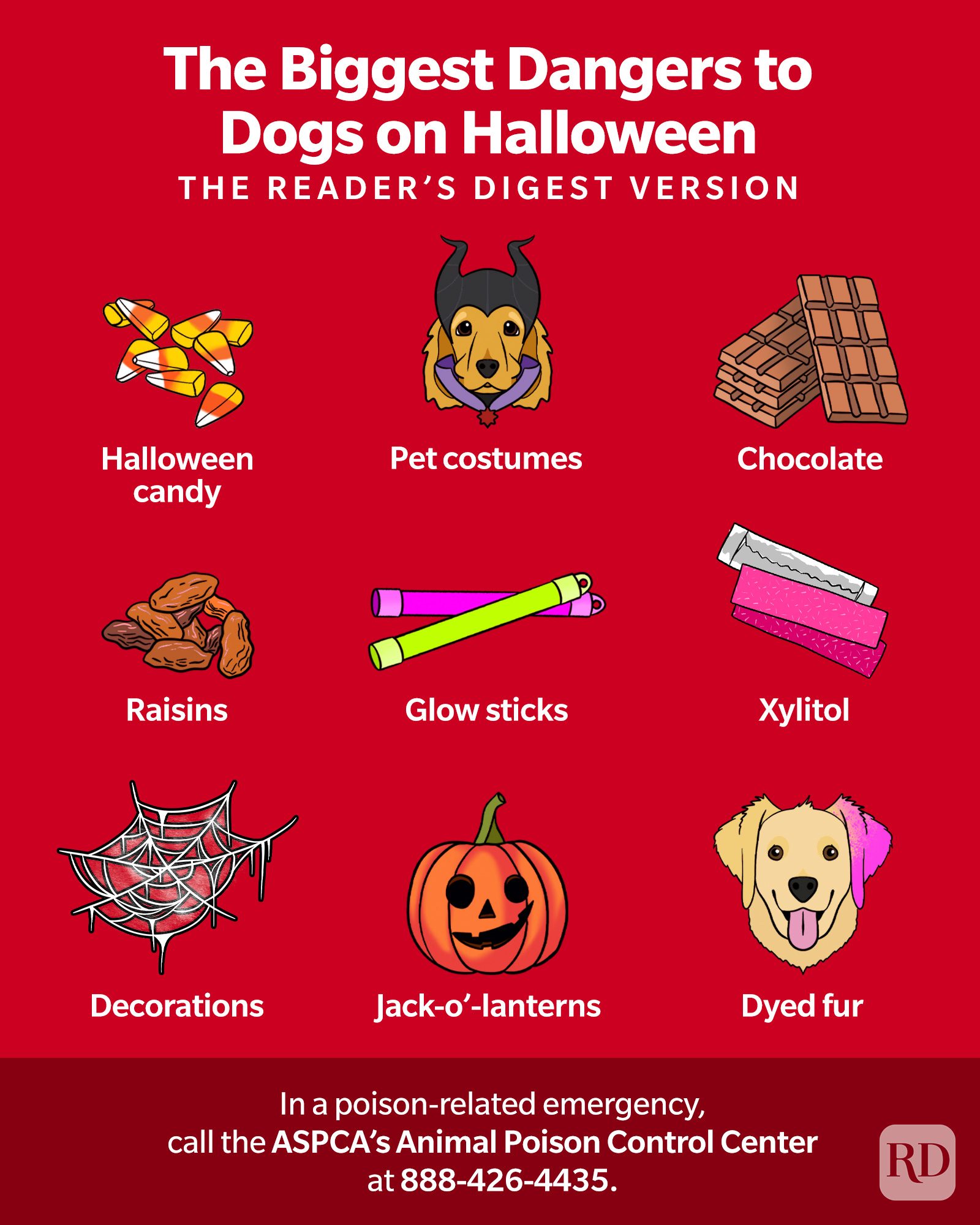 How To Keep Your Dog Safe On Halloween