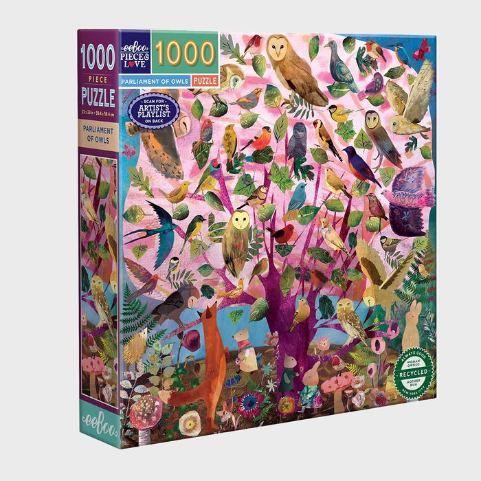 Puzzle box displays colorful owls perched on branches amidst vibrant foliage. Text reads: â€œ1000 Piece Puzzle,