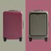 Quince's New Fall Luggage Colors Came Just in Time for Holiday Travel