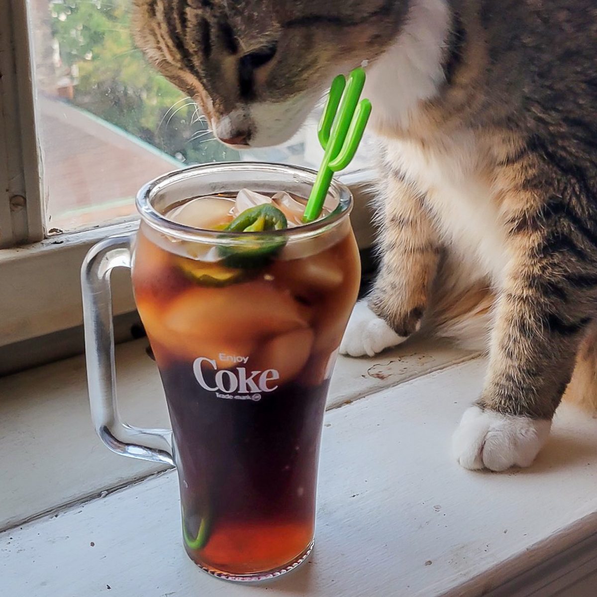 I Tried Dua Lipa’s Viral Diet Coke Recipe—Here’s How It Really Was