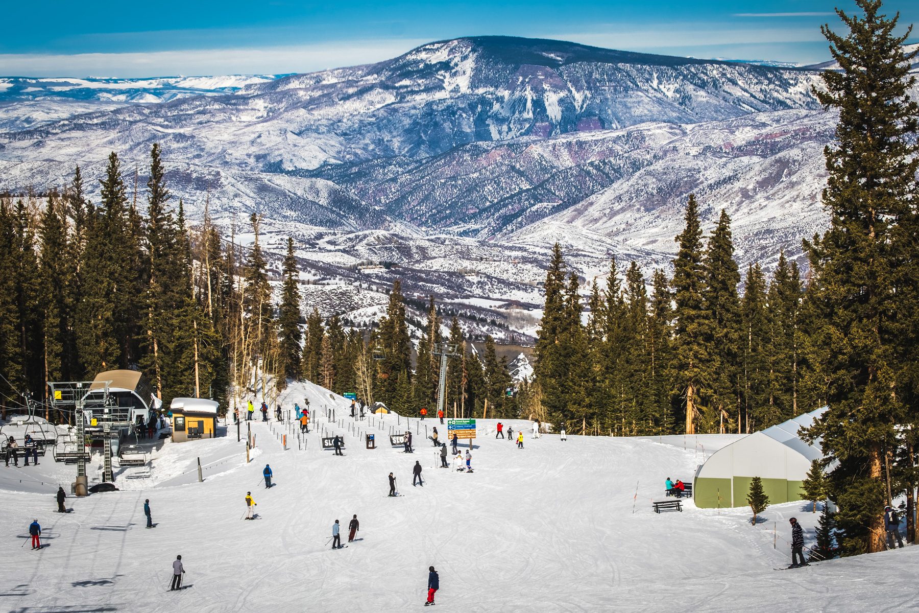 Skiers glide downhill against a backdrop of snowy mountains and evergreen trees, creating an active, wintry scene.