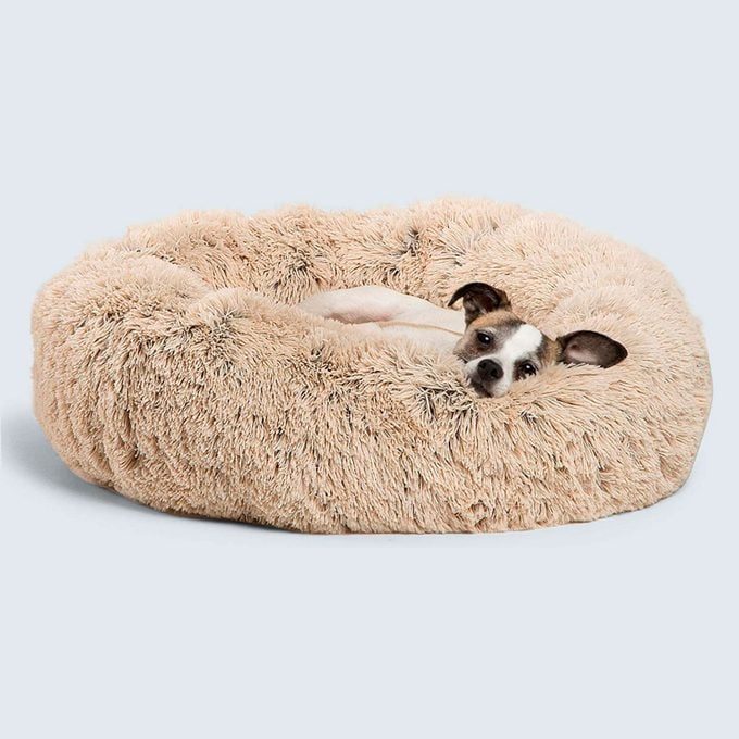 A small dog lounges comfortably on a fluffy beige pet bed, set against a plain gray background.